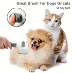 Dog & Cat Detangling Brush – Gentle Pet Grooming & Massage Tool